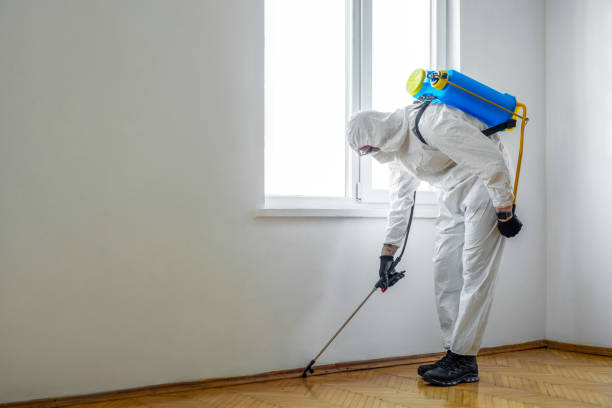 Best Cockroach Control Services  in Jerome, IL